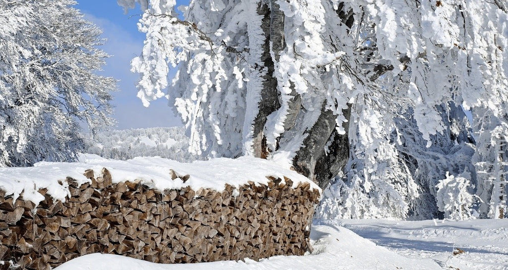 birch firewood for sale Calgary 