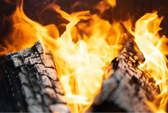 birch firewood calgary 