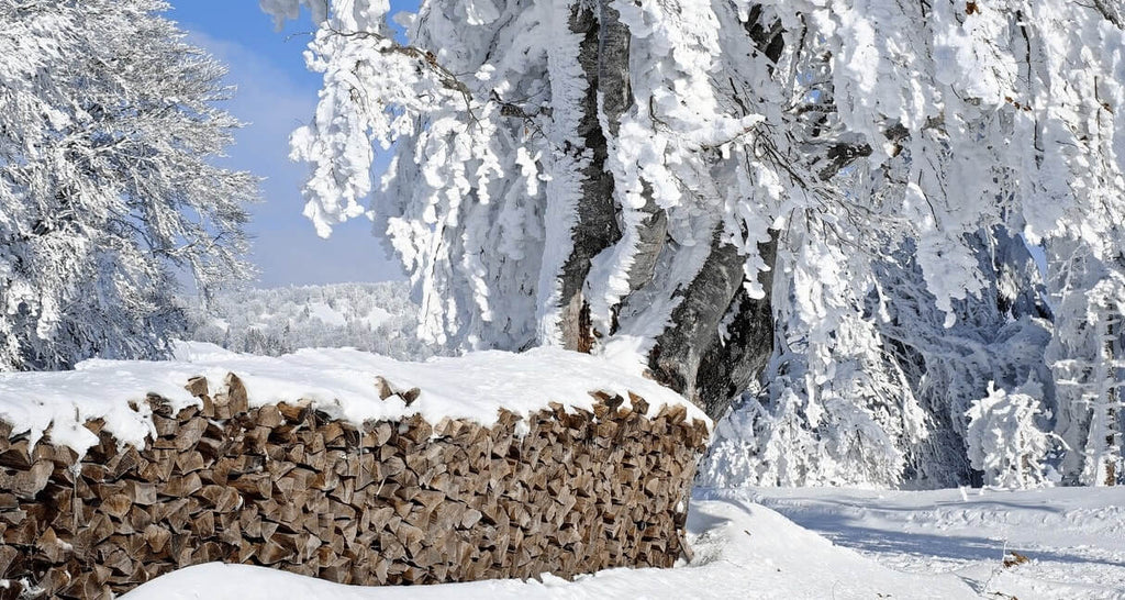birch firewood calgary 