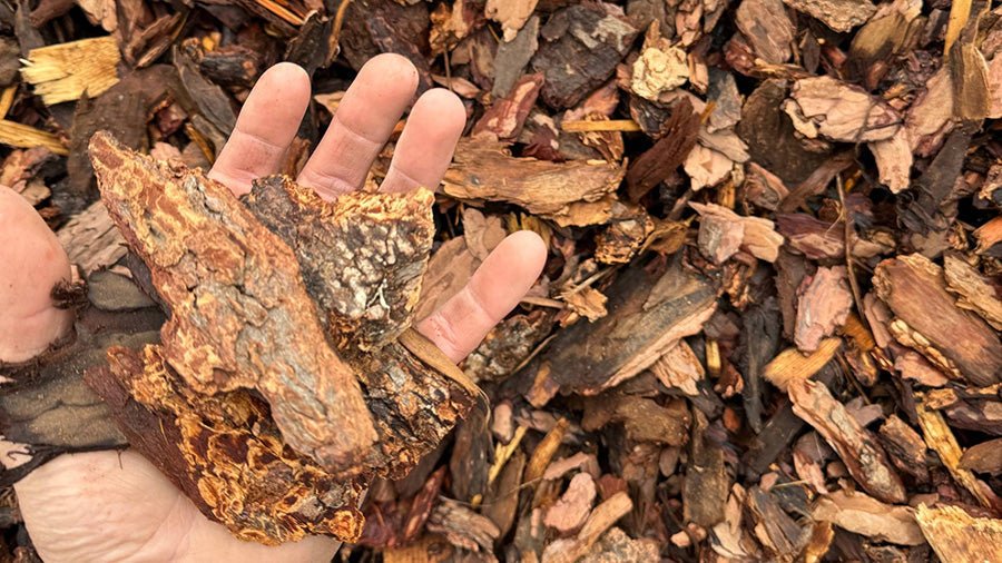 A close-up of a hand holding jagged, textured pieces of tree bark mulch, surrounded by a pile of rich, earthy brown wood chips used for landscaping.
