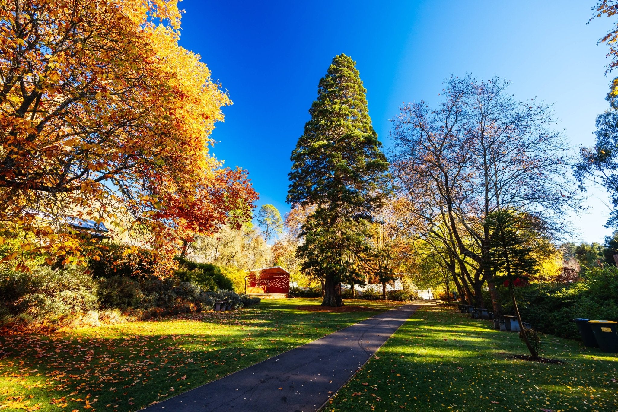 September Spring Why September Is the Smartest Time to Tackle Your Fall Landscape Proje ...