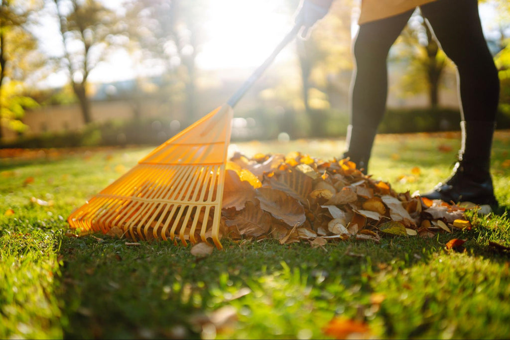 5 Smart Tips for Preparing Your Yard for Winter Before Calgary’s Deep Freeze Hit - featured-image