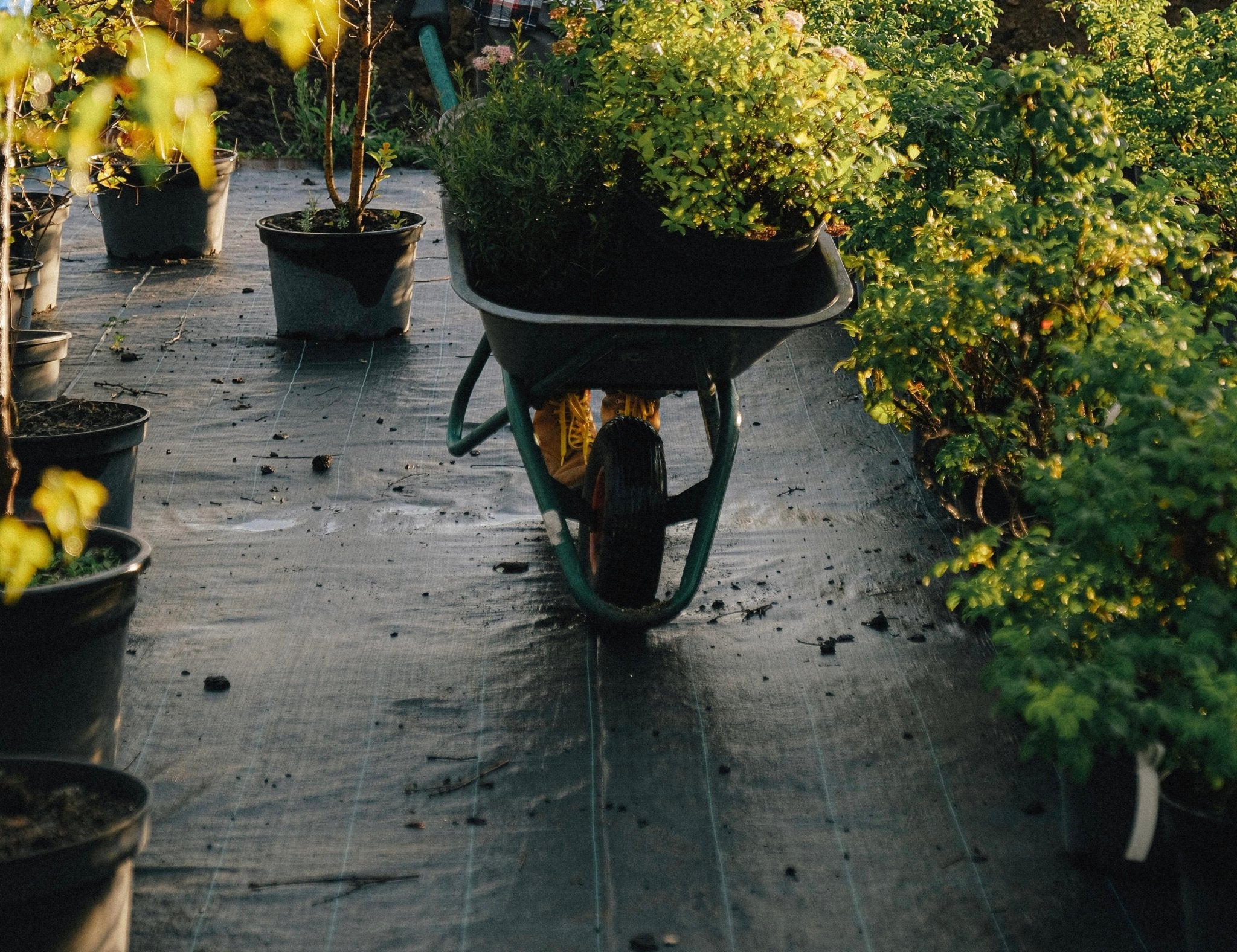 Landscape Fabric And Edging Bulk Direct Landscape Supply Premium