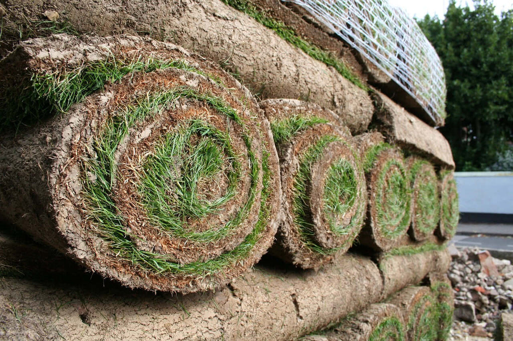 Sod for sale calgary 