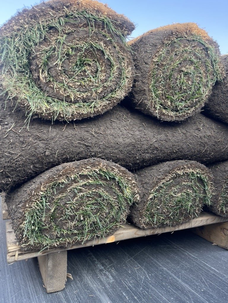 calgary sod supply 